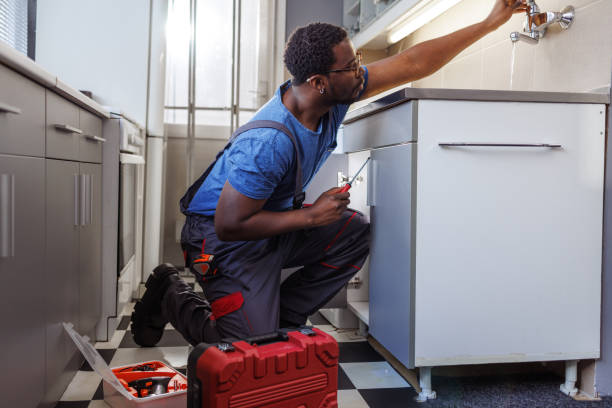 Best Affordable Plumbing Services  in Madison Lake, MN